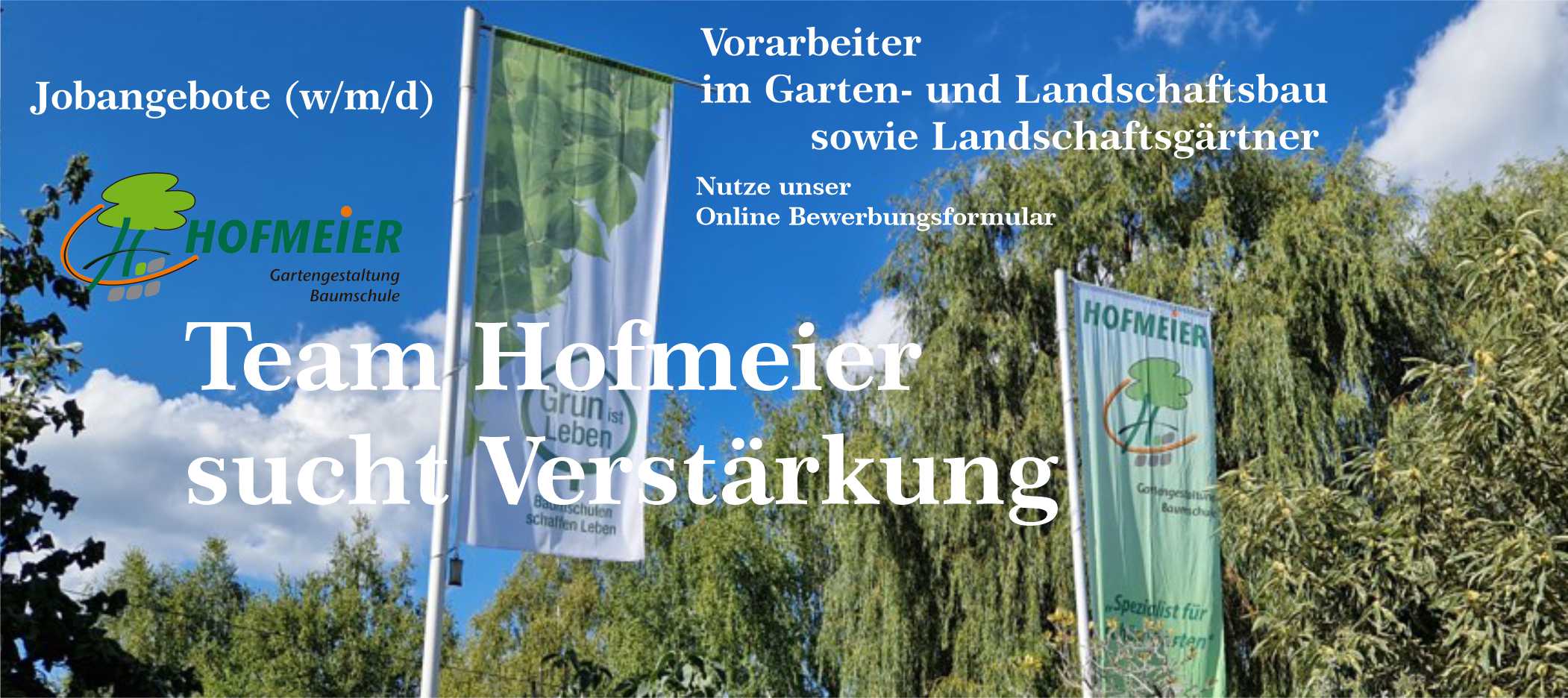 Hofmeier Jobangebot